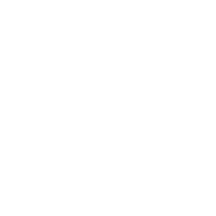 Wig Coloring Book